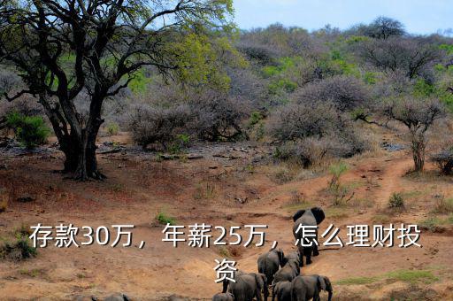 存款30萬(wàn)，年薪25萬(wàn)，怎么理財(cái)投資