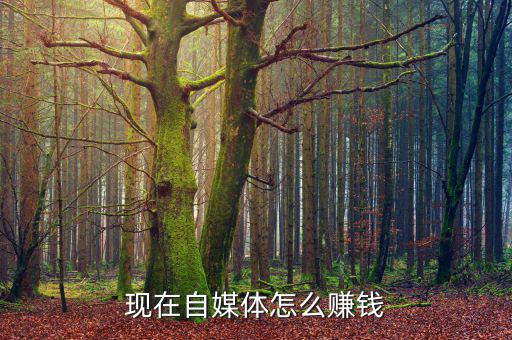 現(xiàn)在自媒體怎么賺錢(qián)