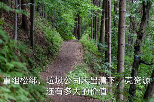 重組松綁，垃圾公司未出清下，殼資源還有多大的價值