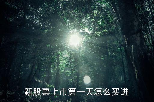 新股票上市第一天怎么買(mǎi)進(jìn)