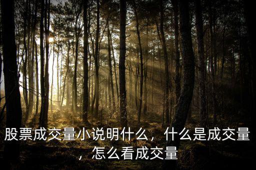 股票成交量小說明什么，什么是成交量，怎么看成交量