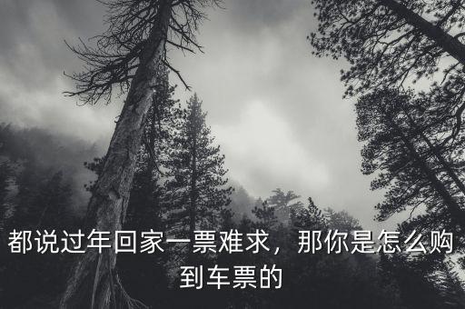 都說過年回家一票難求，那你是怎么購到車票的