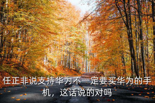 任正非說(shuō)支持華為不一定要買華為的手機(jī)，這話說(shuō)的對(duì)嗎