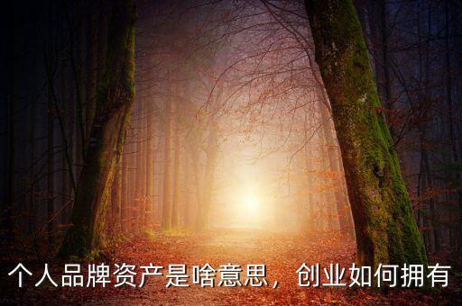 個(gè)人品牌資產(chǎn)是啥意思，創(chuàng)業(yè)如何擁有
