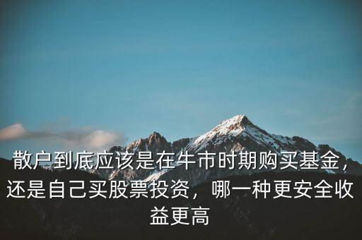 散戶到底應該是在牛市時期購買基金，還是自己買股票投資，哪一種更安全收益更高