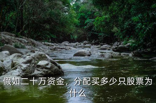 假如二十萬資金，分配買多少只股票為什么
