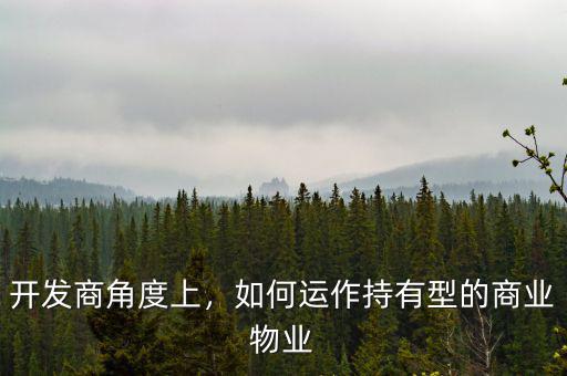開發(fā)商角度上，如何運作持有型的商業(yè)物業(yè)