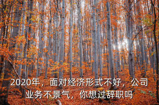 2020年，面對經(jīng)濟(jì)形式不好，公司業(yè)務(wù)不景氣，你想過辭職嗎