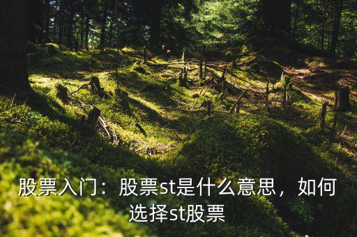股票入門：股票st是什么意思，如何選擇st股票