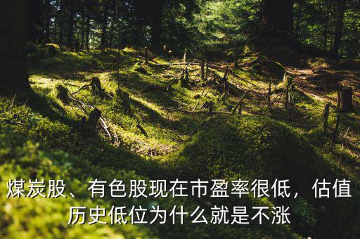 煤炭股、有色股現(xiàn)在市盈率很低，估值歷史低位為什么就是不漲