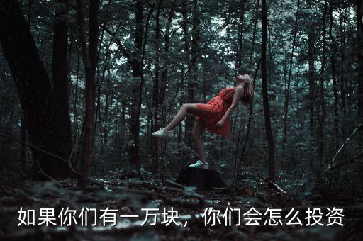 如果你們有一萬塊，你們會(huì)怎么投資