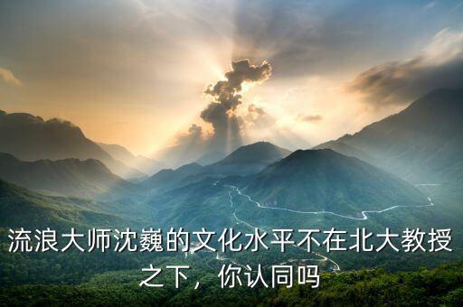 流浪大師沈巍的文化水平不在北大教授之下，你認(rèn)同嗎