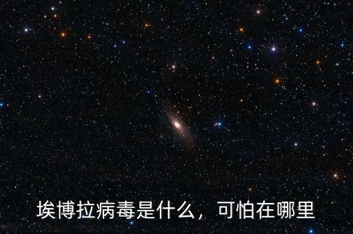 埃博拉病毒是什么，可怕在哪里