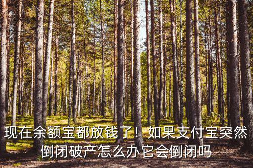 現(xiàn)在余額寶都放錢了！如果支付寶突然倒閉破產(chǎn)怎么辦它會倒閉嗎