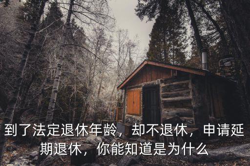 到了法定退休年齡，卻不退休，申請延期退休，你能知道是為什么