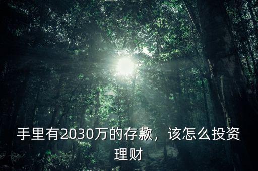 手里有2030萬的存款，該怎么投資理財(cái)
