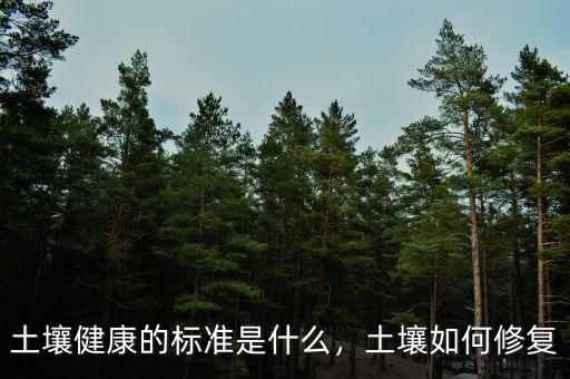 土壤健康的標準是什么，土壤如何修復