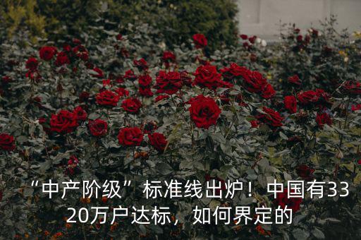 “中產(chǎn)階級(jí)”標(biāo)準(zhǔn)線出爐！中國(guó)有3320萬戶達(dá)標(biāo)，如何界定的
