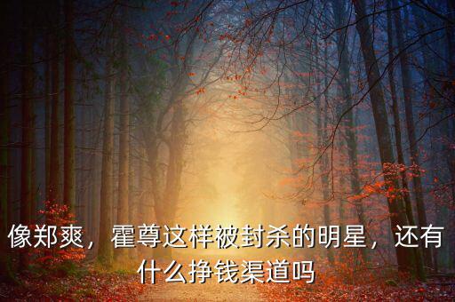 像鄭爽，霍尊這樣被封殺的明星，還有什么掙錢渠道嗎