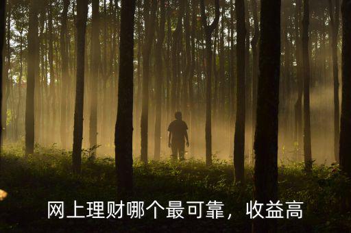 網(wǎng)上理財(cái)哪個(gè)最可靠，收益高
