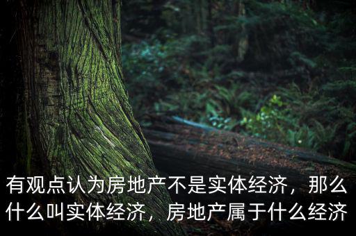 有觀點(diǎn)認(rèn)為房地產(chǎn)不是實(shí)體經(jīng)濟(jì)，那么什么叫實(shí)體經(jīng)濟(jì)，房地產(chǎn)屬于什么經(jīng)濟(jì)