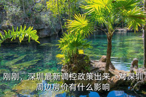 剛剛，深圳最新調(diào)控政策出來，對深圳周邊房價(jià)有什么影響