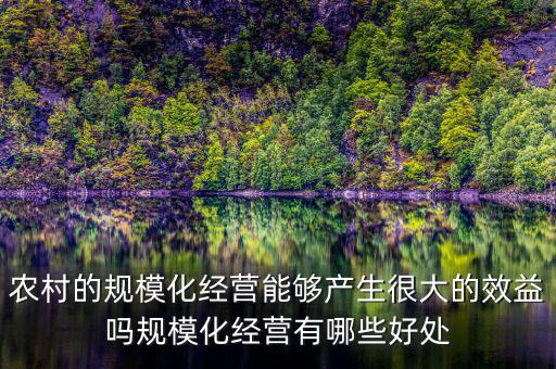 農(nóng)村的規(guī)?；?jīng)營能夠產(chǎn)生很大的效益嗎規(guī)模化經(jīng)營有哪些好處