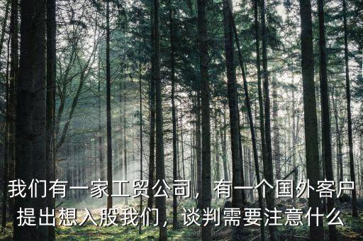 我們有一家工貿(mào)公司，有一個(gè)國外客戶提出想入股我們，談判需要注意什么
