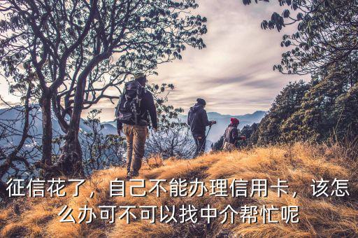 征信花了，自己不能辦理信用卡，該怎么辦可不可以找中介幫忙呢