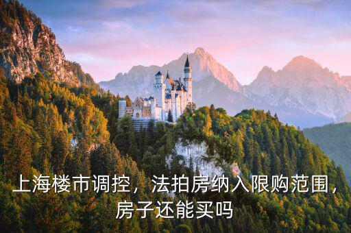 上海樓市調(diào)控，法拍房納入限購范圍，房子還能買嗎