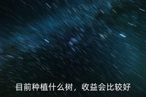 目前種植什么樹，收益會比較好