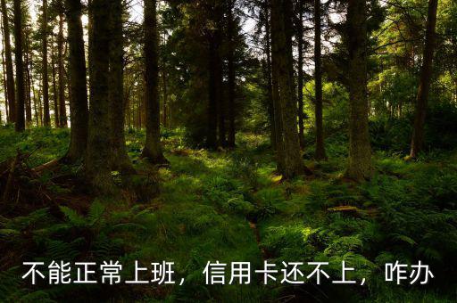 不能正常上班，信用卡還不上，咋辦