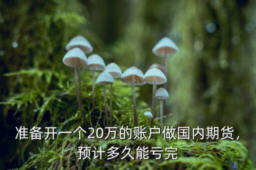 準(zhǔn)備開一個(gè)20萬(wàn)的賬戶做國(guó)內(nèi)期貨，預(yù)計(jì)多久能虧完