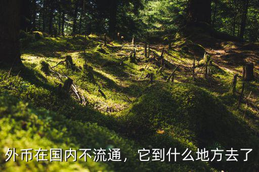 外幣在國內(nèi)不流通，它到什么地方去了