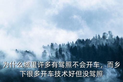 為什么城里許多有駕照不會(huì)開(kāi)車，而鄉(xiāng)下很多開(kāi)車技術(shù)好但沒(méi)駕照