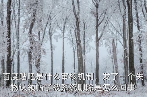 百度貼吧是什么審核機制，發(fā)了一個失物認(rèn)領(lǐng)帖子被系統(tǒng)刪除是怎么回事