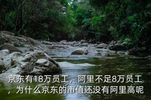 京東有18萬(wàn)員工，阿里不足8萬(wàn)員工，為什么京東的市值還沒(méi)有阿里高呢