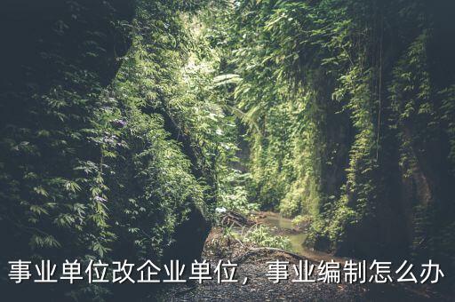 事業(yè)單位改企業(yè)單位，事業(yè)編制怎么辦