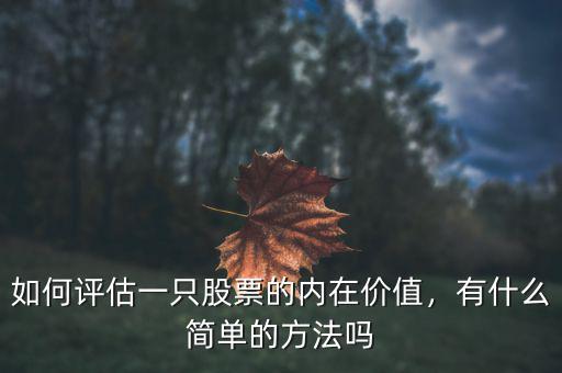 如何評(píng)估一只股票的內(nèi)在價(jià)值，有什么簡(jiǎn)單的方法嗎