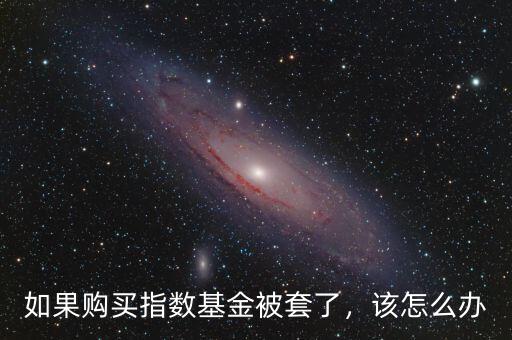 如果購買指數(shù)基金被套了，該怎么辦