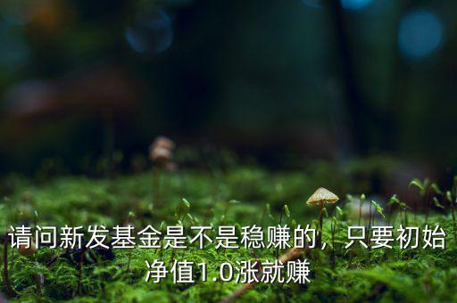請問新發(fā)基金是不是穩(wěn)賺的，只要初始凈值1.0漲就賺