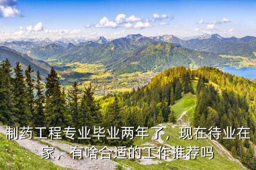 制藥工程專業(yè)畢業(yè)兩年了，現(xiàn)在待業(yè)在家，有啥合適的工作推薦嗎