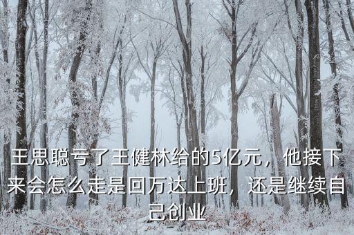 王思聰虧了王健林給的5億元，他接下來會怎么走是回萬達(dá)上班，還是繼續(xù)自己創(chuàng)業(yè)