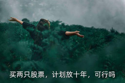 買兩只股票，計劃放十年，可行嗎