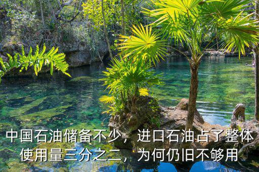 中國石油儲備不少，進(jìn)口石油占了整體使用量三分之二，為何仍舊不夠用