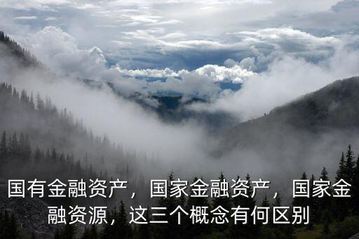 國(guó)有金融資產(chǎn)，國(guó)家金融資產(chǎn)，國(guó)家金融資源，這三個(gè)概念有何區(qū)別