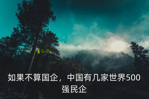 如果不算國企，中國有幾家世界500強(qiáng)民企