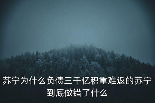 蘇寧為什么負(fù)債三千億積重難返的蘇寧到底做錯了什么