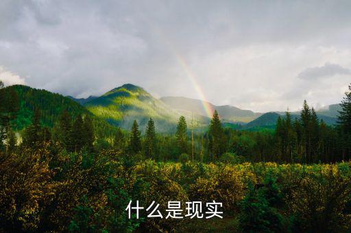 現實的意思是什么,現代很多女人現實