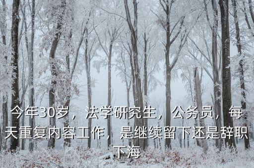 今年30歲，法學(xué)研究生，公務(wù)員，每天重復(fù)內(nèi)容工作，是繼續(xù)留下還是辭職下海